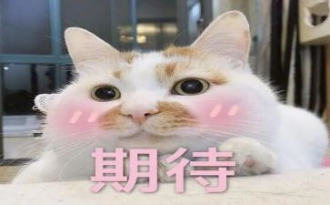 我期待作文通用5篇