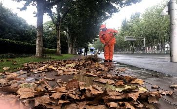 清扫校园的活动总结优质8篇