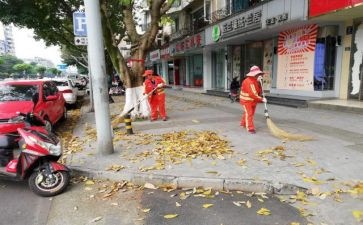 村清扫活动总结5篇
