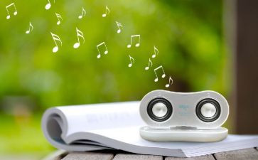 倾听生命拔节的声音作文7篇