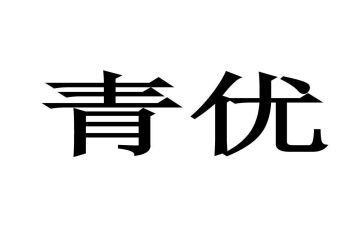 市青优教师述职报告8篇