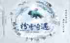读木偶奇遇读后感优质6篇