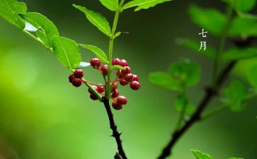 七月份销售的工作总结6篇