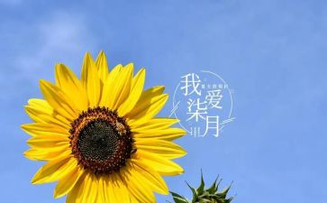 幼儿小班七月份工作总结8篇