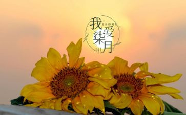 2024年七月份工作总结通用8篇