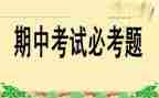 期中总结工作总结通用7篇