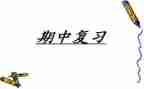 教师期中总结发言稿范文7篇