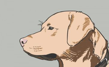 警犬作文8篇