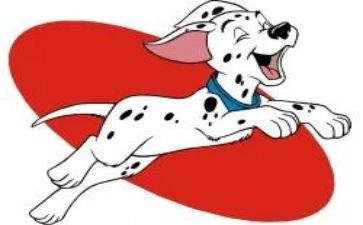 少年与犬读后感模板7篇