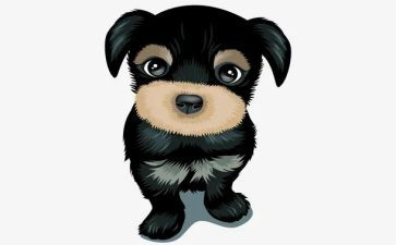 犬只买卖合同优质7篇
