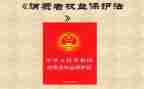 保护消费者权益的心得体会8篇