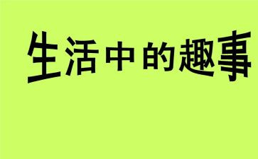 五一趣事600作文精选8篇