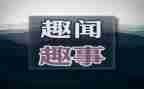 假趣事400字作文5篇