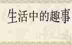 猫的趣事作文400字通用5篇