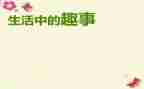 猫的趣事作文600字精选8篇