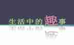 猫的趣事作文600字8篇