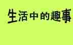 猫的趣事作文600字优质5篇
