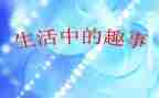 小学趣事作文600字5篇