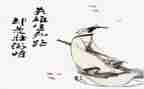 端午节屈原爱国的演讲稿7篇