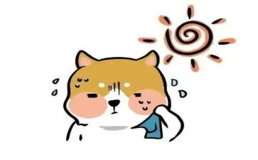 观看热的雪心得体会参考5篇