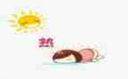 关于热的作文400字5篇