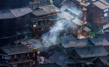 阅读人间失格心得体会7篇