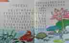 人教版小学二年级语文教学计划7篇
