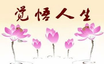 蝶人生作文精选7篇