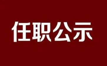 任职回避自查报告6篇
