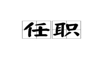 自任职以来的工作总结8篇