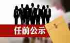 教师个人任职工作总结5篇