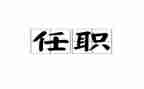 自任职以来的工作总结8篇