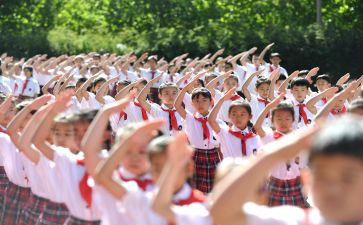 申请入队申请书最新6篇