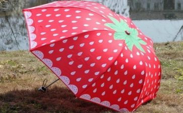 幼儿园大班关于伞的教案优秀8篇