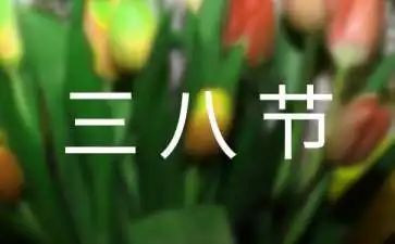 学校三八节活动方案8篇