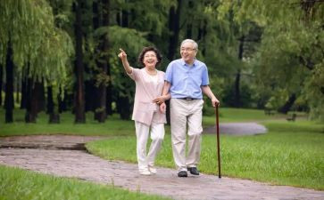 读散步的读后感精选7篇