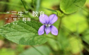 高三生物备课组工作总结6篇