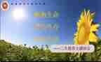 高三生活作文800字6篇