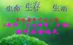 我的高三生活作文5篇