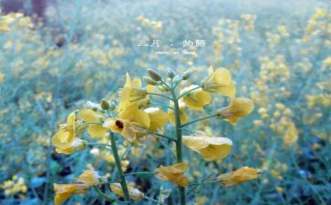 教师三月份月工作总结6篇