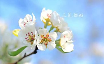 三月份后厨工作总结通用6篇
