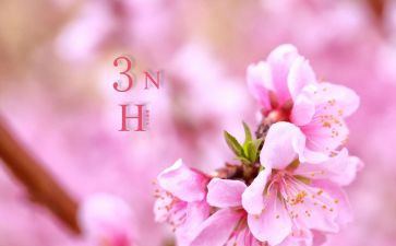 三月份教师组工作总结5篇