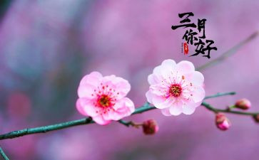 幼儿园三月份教师工作计划5篇