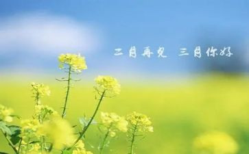 三月份幼儿园工作总结8篇
