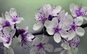 三月份个人工作总结7篇