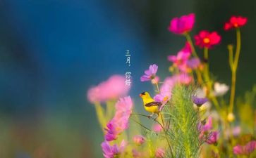 三月安全工作总结5篇