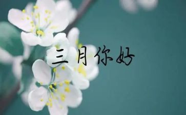 三月份后厨工作总结6篇
