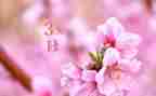 三月份教师组工作总结5篇