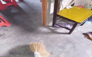 扫除黑恶的读后感6篇