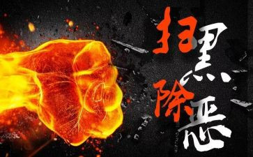 村扫黑除恶的年工作总结6篇